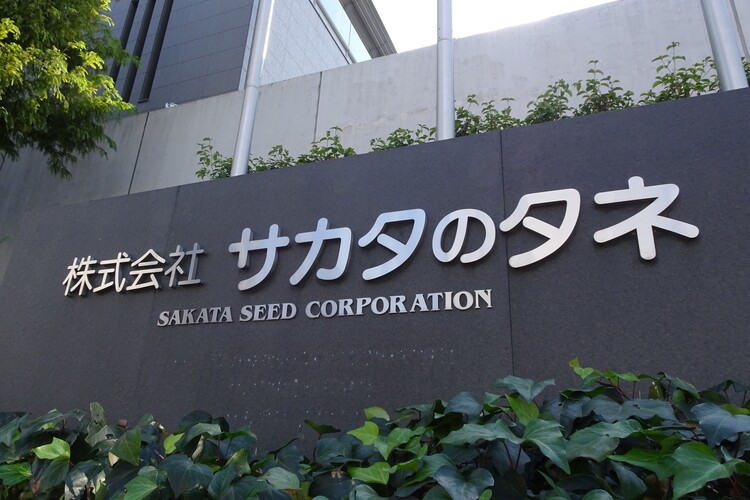 サカタのタネ】種苗国内トップ、海外M＆Aを“再起動”へ | M＆A Online