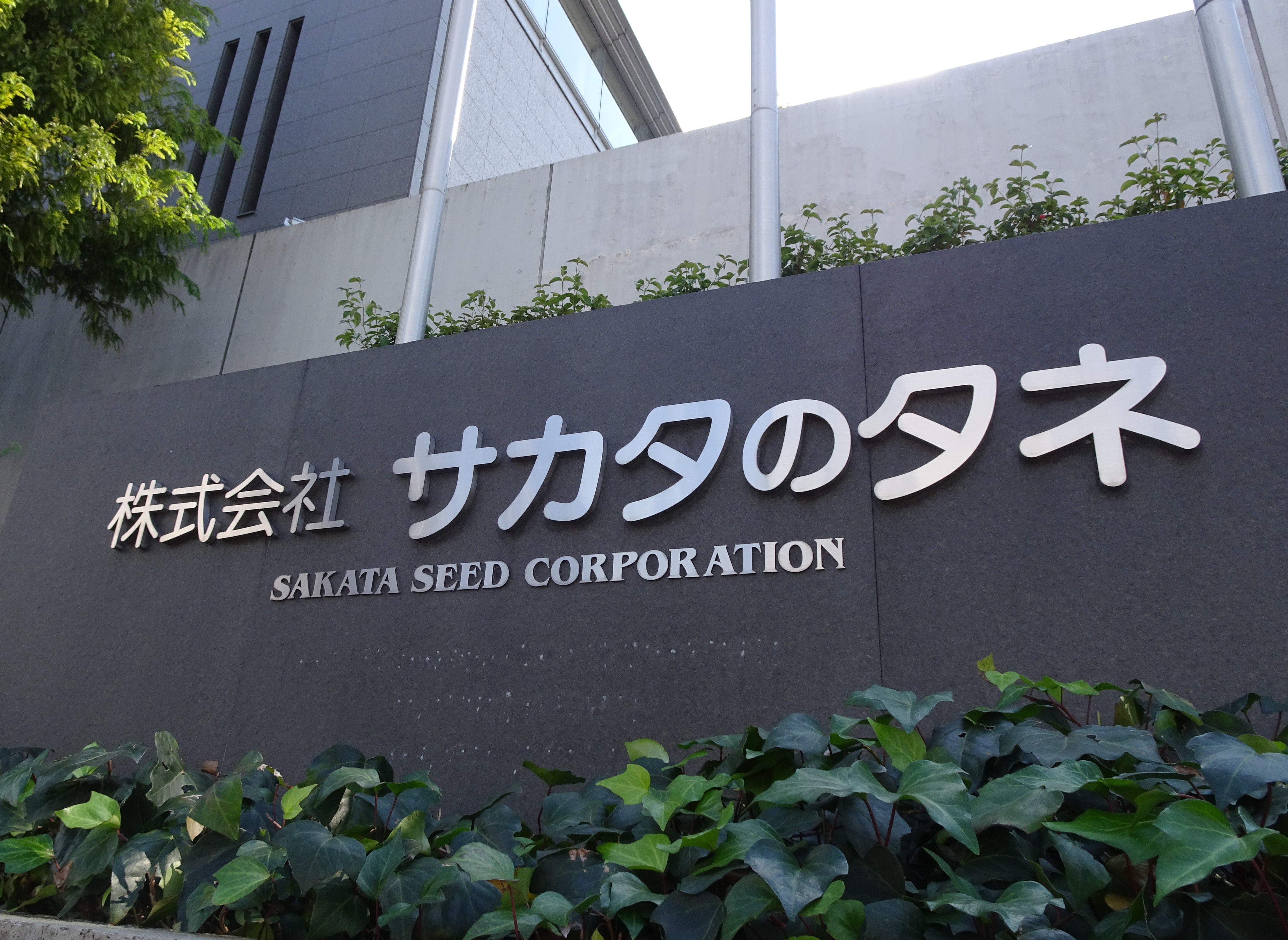 世界に夢をまく「サカタのタネ」 鶴蒔靖夫 IN通信社 サカタのタネ】種苗国内トップ、海外M＆Aを“再起動”へ | M＆A Online