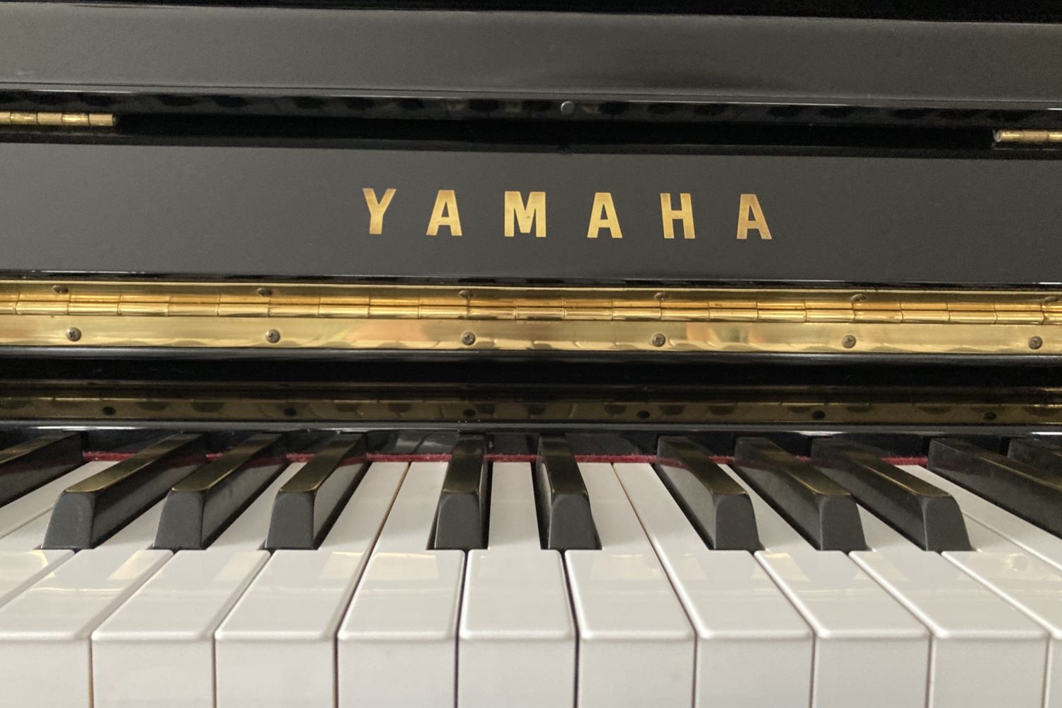 yamaha 楽器