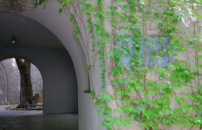 【文化学院】文芸（文学・芸術）教育が目指した“見果てぬ夢”｜産業遺産のＭ＆Ａ