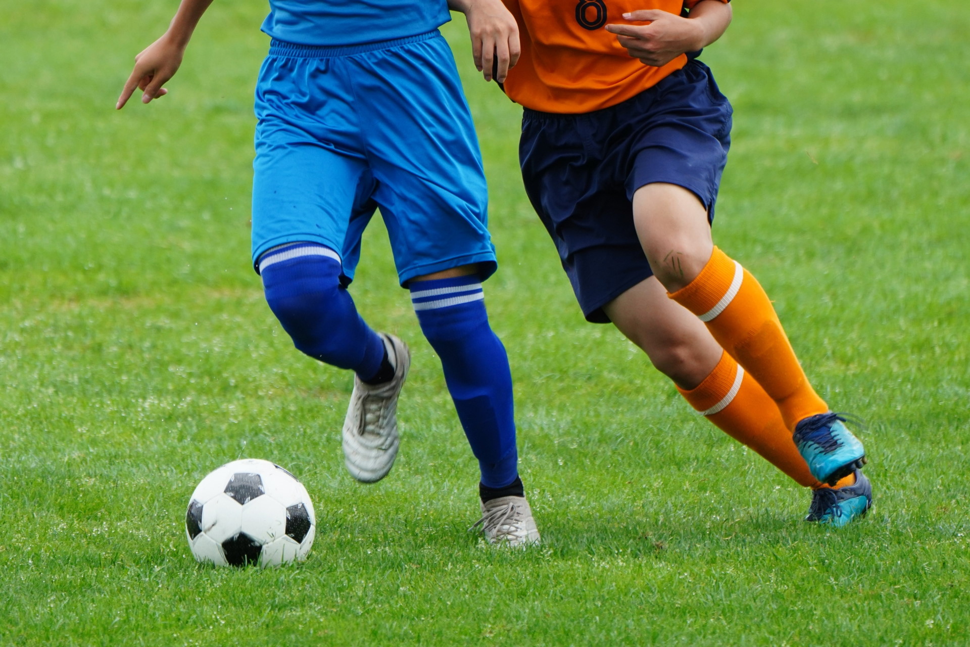 コインチェック」ファンタジーフットボールゲーム「Sorare」で使用するNFT を13種類の暗号資産と交換へ | M＆A Online -  M&Aをもっと身近に。