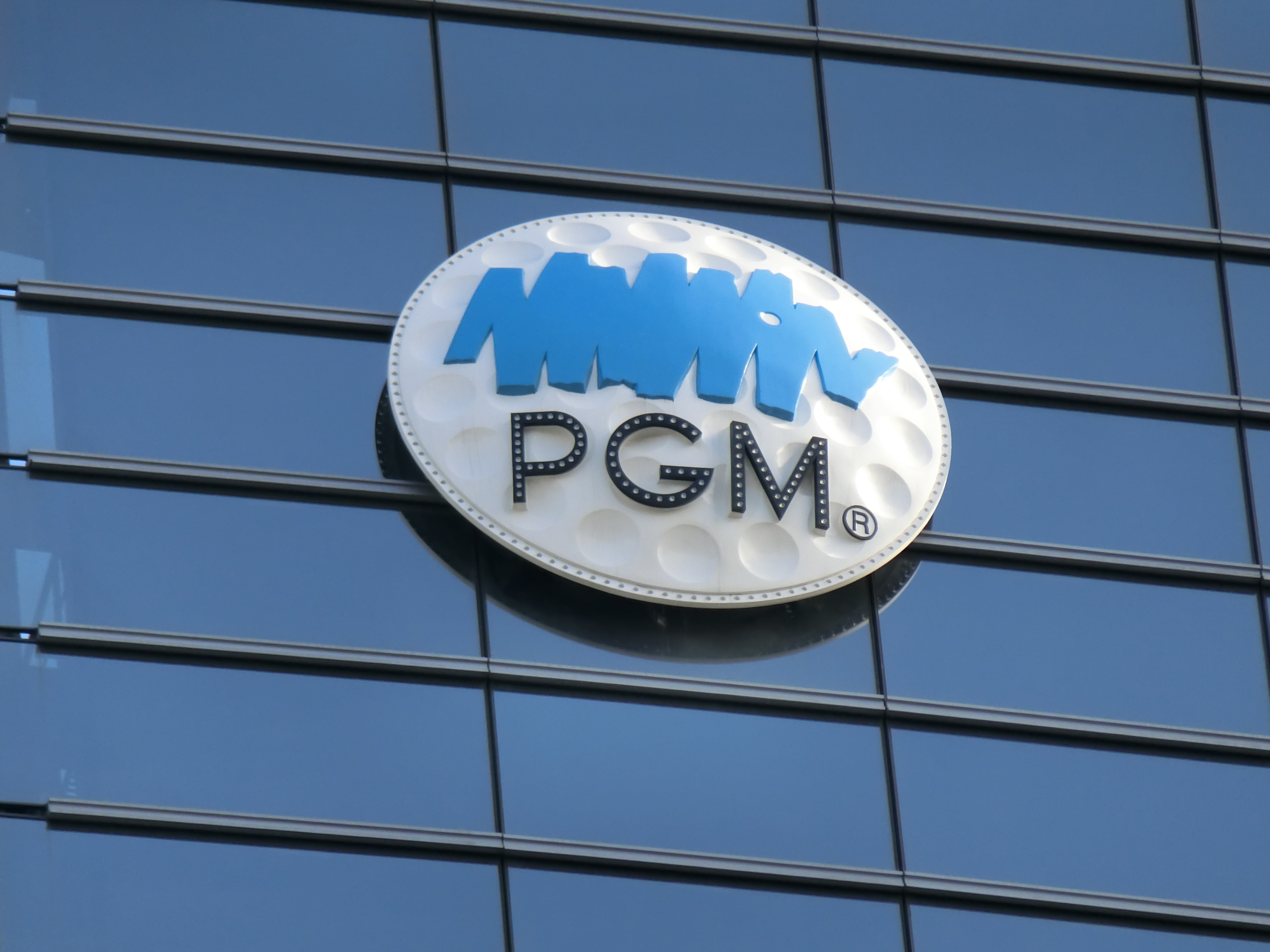 PGM1.jpg
